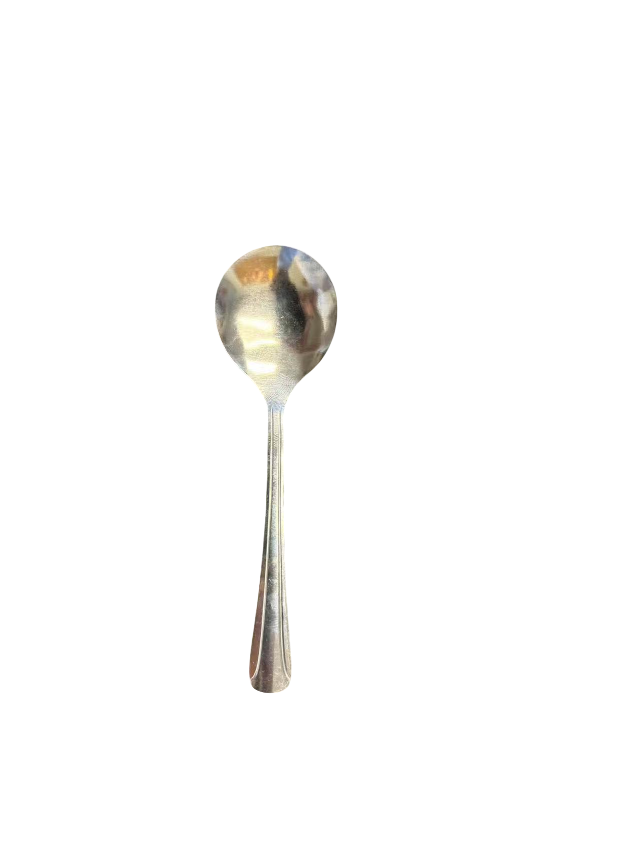 Stainless Steel Serving Spoon