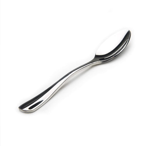 Stainless Steel Serving Spoon